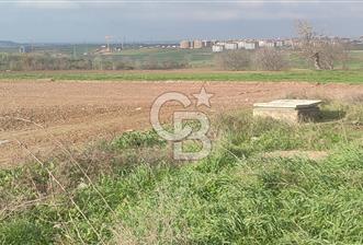 Tekirdağ Çorlu Nursatiye 42.930 m² İmara Yakın Satılık Arazi - 1 - 326882