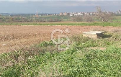 Tekirdağ Çorlu Nursatiye 42.930 m² İmara Yakın Satılık Arazi