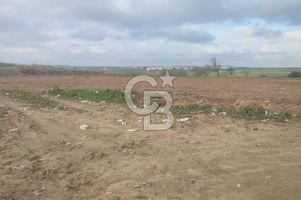 Tekirdağ Çorlu Nursatiye 42.930 m² İmara Yakın Satılık Arazi