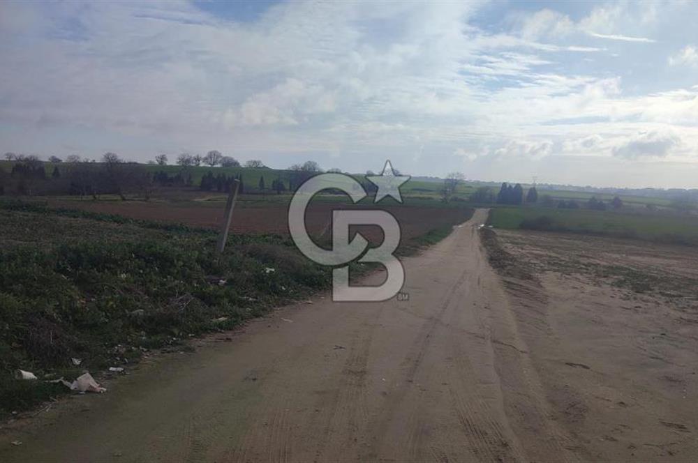 Tekirdağ Çorlu Nursatiye 42.930 m² İmara Yakın Satılık Arazi