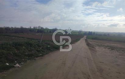 Tekirdağ Çorlu Nursatiye 42.930 m² İmara Yakın Satılık Arazi