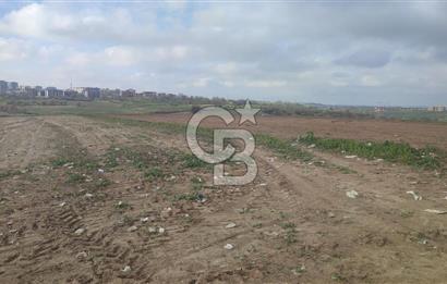 Tekirdağ Çorlu Nursatiye 42.930 m² İmara Yakın Satılık Arazi