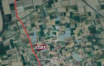 AYDIN  YENİ PAZAR DA  SATILIK TARLA