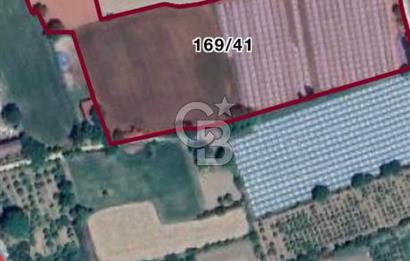 AYDIN  YENİ PAZAR DA  SATILIK TARLA