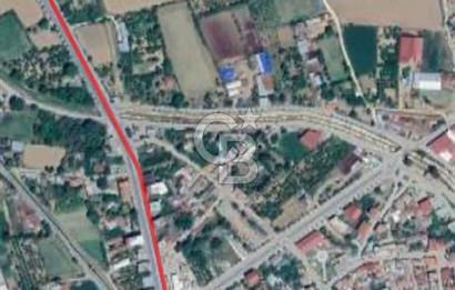 AYDIN  YENİ PAZAR DA  SATILIK TARLA