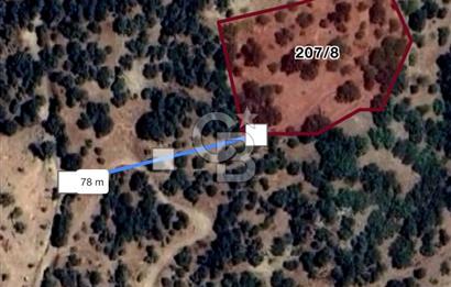 İzmir Tire Yamandere'de 3.806 m² Yatırımlık Armut ve Ceviz Bahçesi