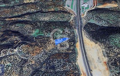 BERGAMA ZEYTİNDAĞ'DA YATIRIMLIK DENİZ MANZARALI ZEYTİNLİK