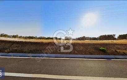 BERGAMA ZEYTİNDAĞ'DA YATIRIMLIK DENİZ MANZARALI ZEYTİNLİK