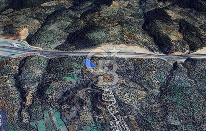 BERGAMA ZEYTİNDAĞ'DA YATIRIMLIK DENİZ MANZARALI ZEYTİNLİK