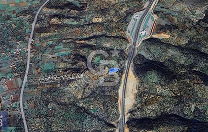 BERGAMA ZEYTİNDAĞ'DA YATIRIMLIK DENİZ MANZARALI ZEYTİNLİK