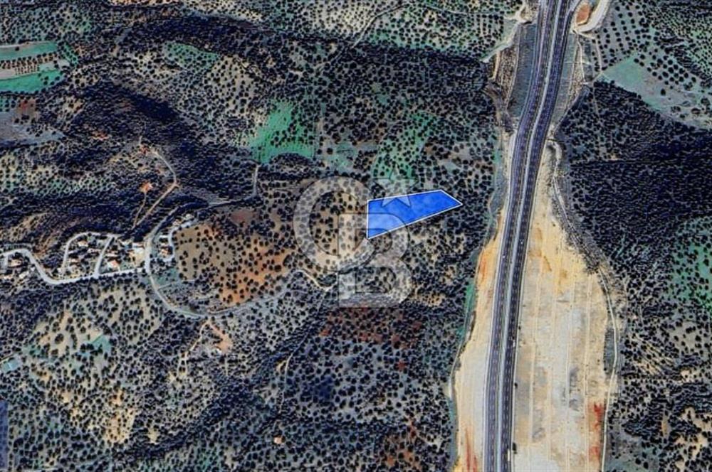 BERGAMA ZEYTİNDAĞ'DA YATIRIMLIK DENİZ MANZARALI ZEYTİNLİK