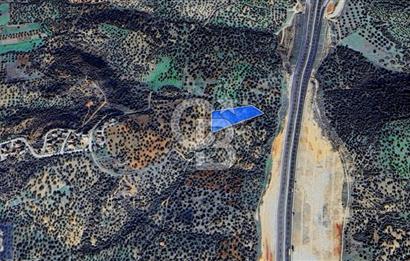 BERGAMA ZEYTİNDAĞ'DA YATIRIMLIK DENİZ MANZARALI ZEYTİNLİK