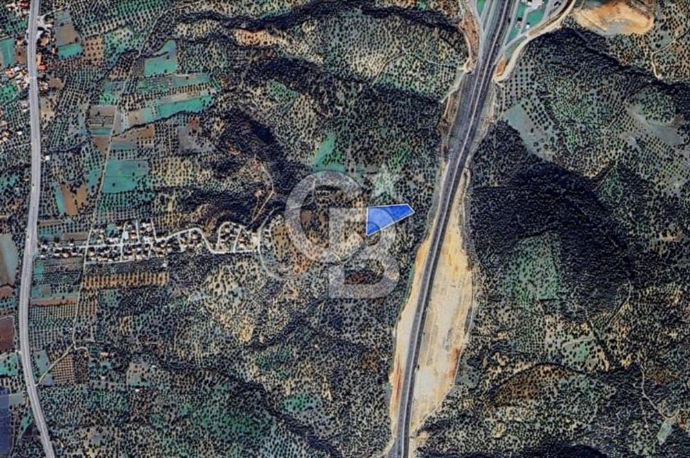 BERGAMA ZEYTİNDAĞ'DA YATIRIMLIK DENİZ MANZARALI ZEYTİNLİK