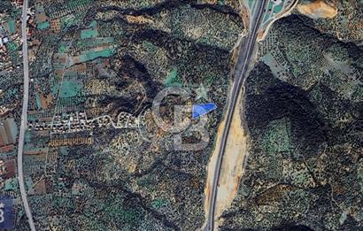 BERGAMA ZEYTİNDAĞ'DA YATIRIMLIK DENİZ MANZARALI ZEYTİNLİK