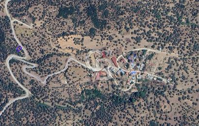 İzmir Bayındırda Satılık Farklı Konumlarda Zeytinlik Arazileri