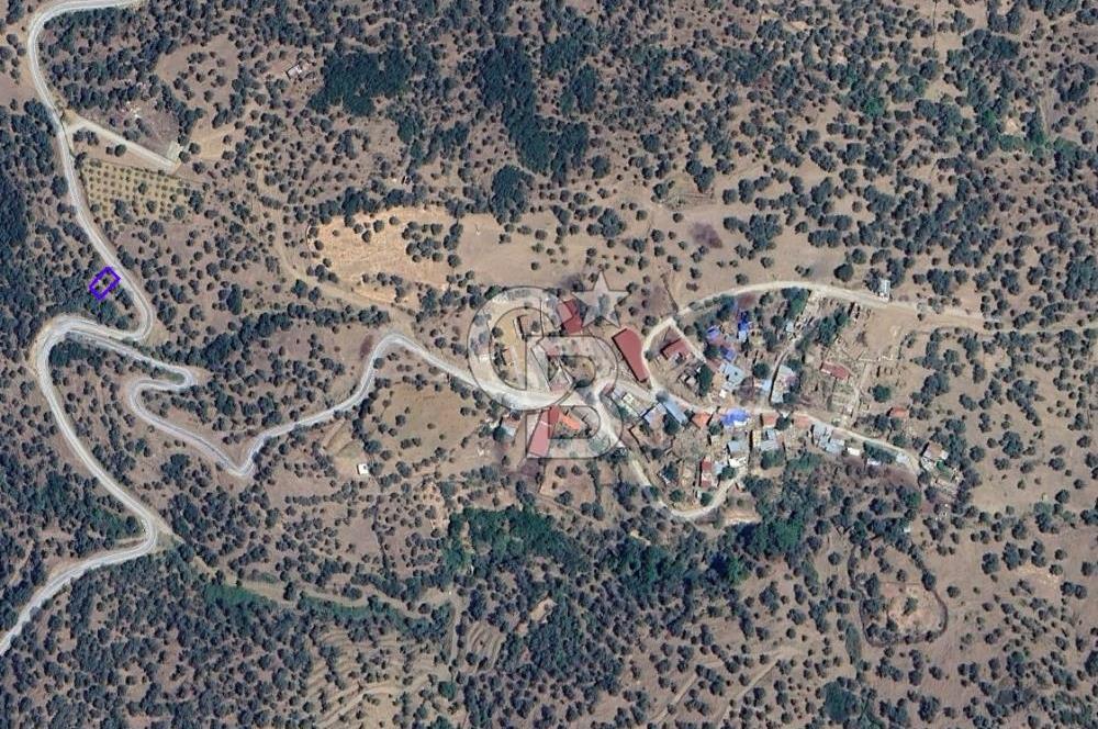 İzmir Bayındırda Satılık Farklı Konumlarda Zeytinlik Arazileri