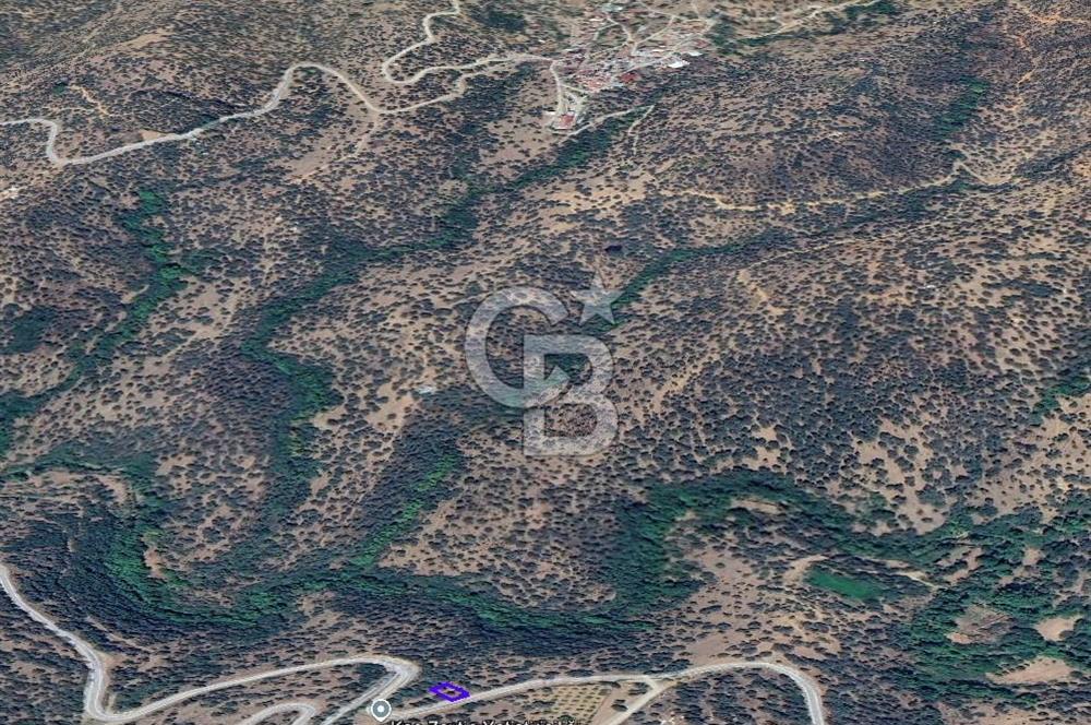 İzmir Bayındırda Satılık Farklı Konumlarda Zeytinlik Arazileri