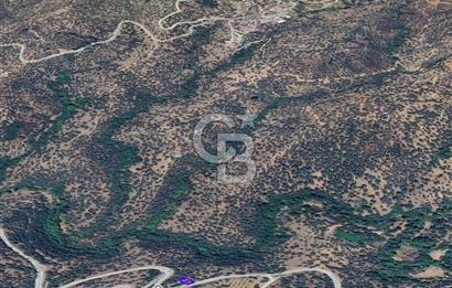 İzmir Bayındırda Satılık Farklı Konumlarda Zeytinlik Arazileri