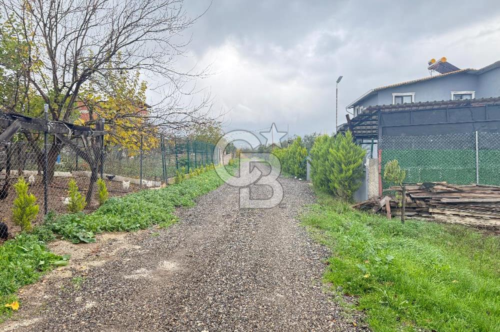 Bursa, Orhangazi, Yeniköy de satılık 9.700m2 Tarla ve zeytinlik