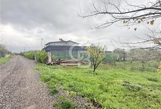 Bursa, Orhangazi, Yeniköy de satılık 9.700m2 Tarla ve zeytinlik - 5 - 326900