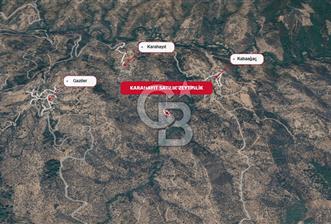 Bayındır Sarıyurt & Karahayıtta Satılık Zeytinlikler - 3 - 326936