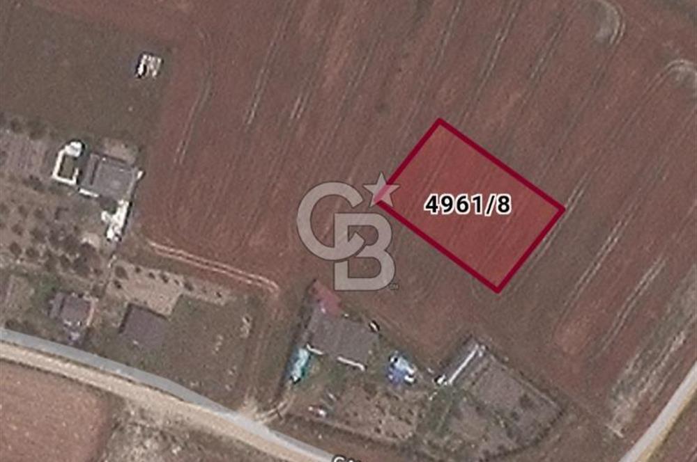 İSTANBUL SİLİVRİ BÜYÜK ÇAVUŞLU MAHALLESİNDE KONUT İMARLI ARSA