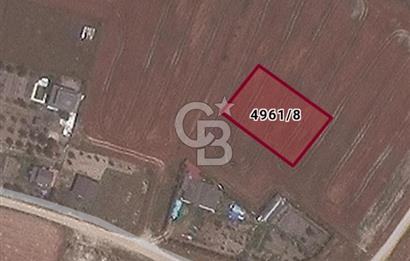 İSTANBUL SİLİVRİ BÜYÜK ÇAVUŞLU MAHALLESİNDE KONUT İMARLI ARSA