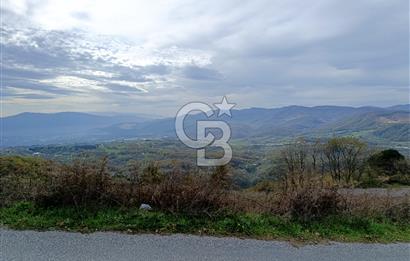 FIRSAT FİYAT!!! ESADİYE KÖYÜNDE GÖL MANZARALI ARAZİ