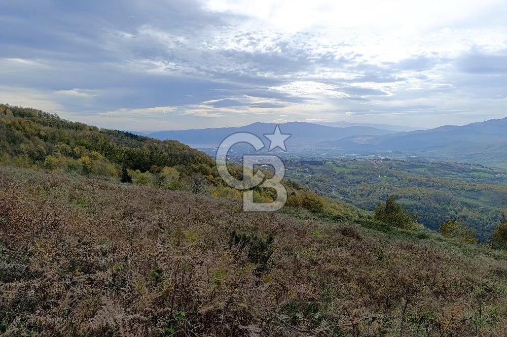 FIRSAT FİYAT!!! ESADİYE KÖYÜNDE GÖL MANZARALI ARAZİ