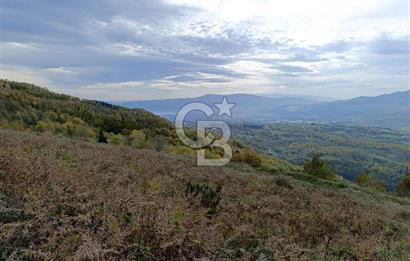 FIRSAT FİYAT!!! ESADİYE KÖYÜNDE GÖL MANZARALI ARAZİ