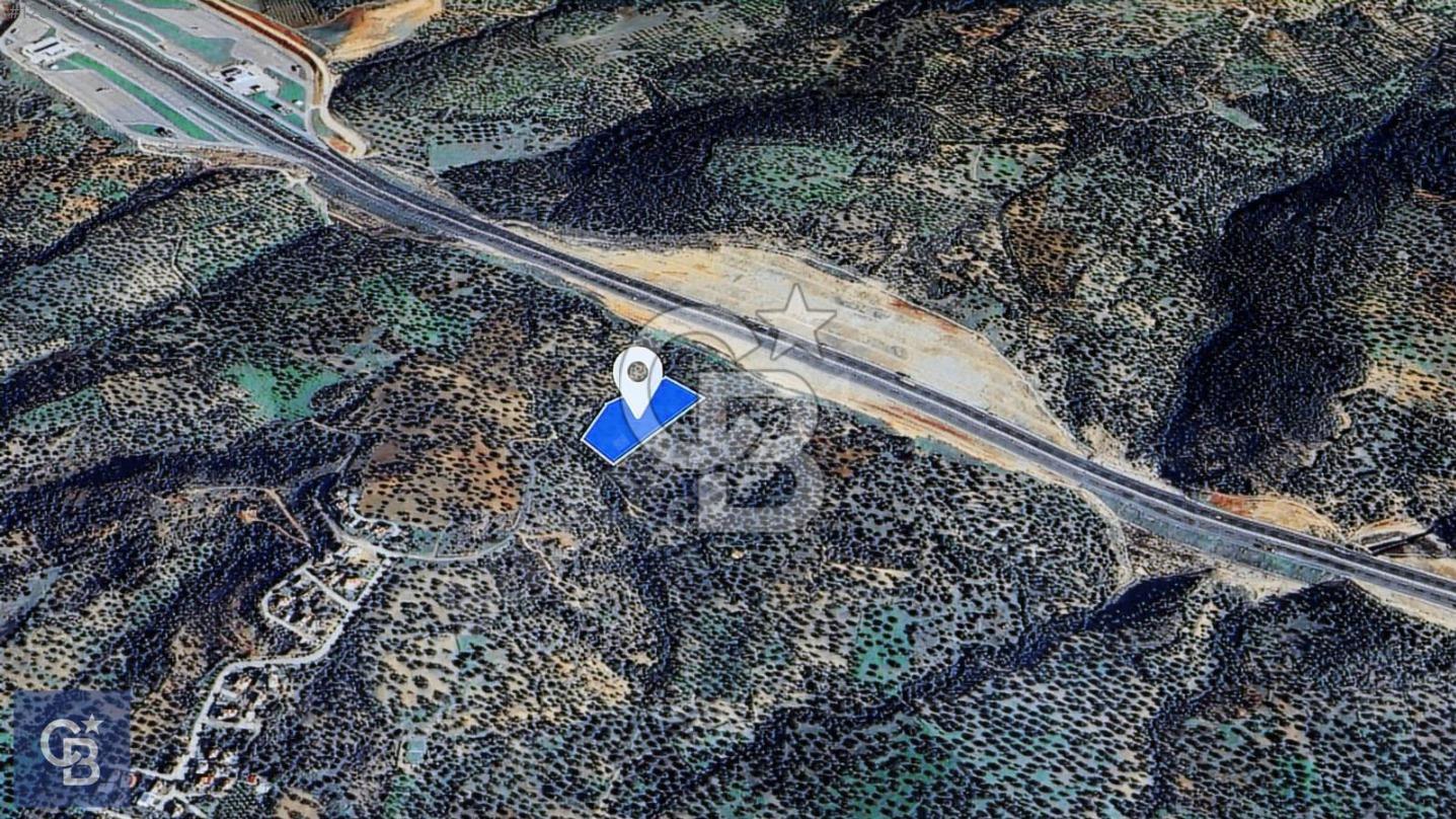 BERGAMA ZEYTİNDAĞ'DA DENİZ MANZARALI ZEYTİNLİK