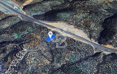 BERGAMA ZEYTİNDAĞ'DA DENİZ MANZARALI ZEYTİNLİK