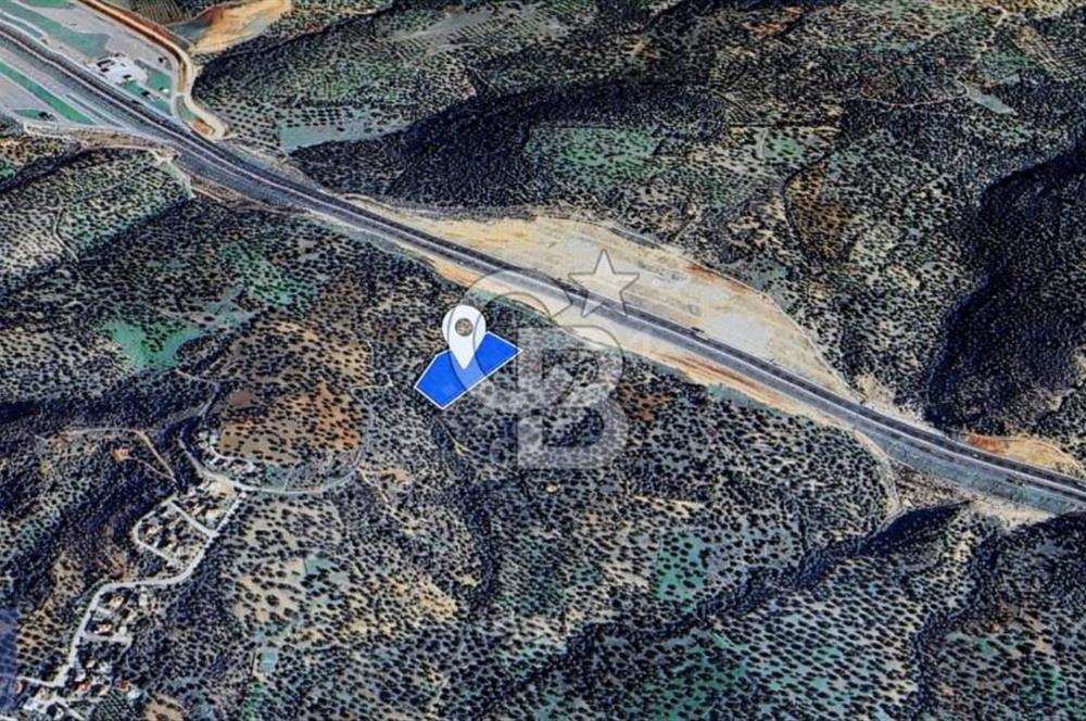 BERGAMA ZEYTİNDAĞ'DA DENİZ MANZARALI ZEYTİNLİK