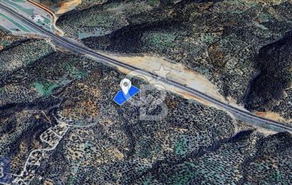 BERGAMA ZEYTİNDAĞ'DA DENİZ MANZARALI ZEYTİNLİK