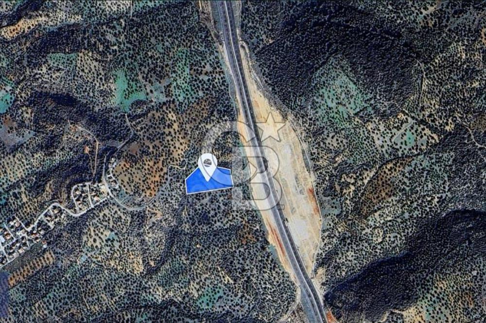 BERGAMA ZEYTİNDAĞ'DA DENİZ MANZARALI ZEYTİNLİK