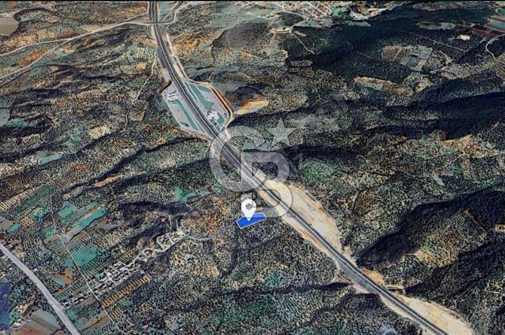 BERGAMA ZEYTİNDAĞ'DA DENİZ MANZARALI ZEYTİNLİK