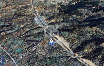 BERGAMA ZEYTİNDAĞ'DA DENİZ MANZARALI ZEYTİNLİK