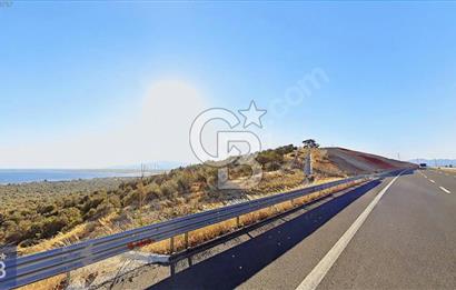 BERGAMA ZEYTİNDAĞ'DA DENİZ MANZARALI ZEYTİNLİK