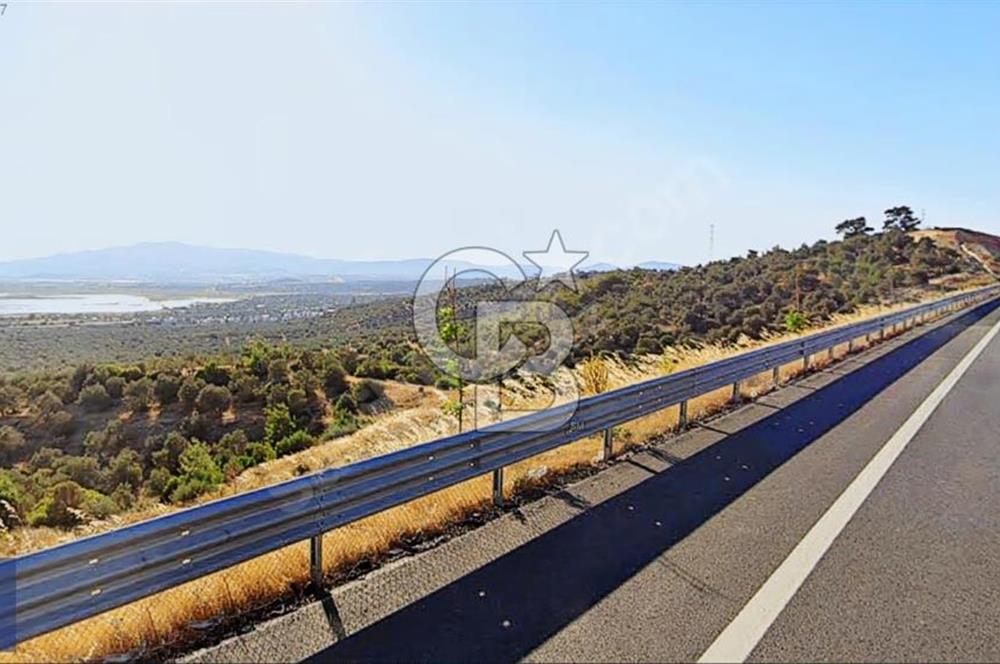 BERGAMA ZEYTİNDAĞ'DA DENİZ MANZARALI ZEYTİNLİK