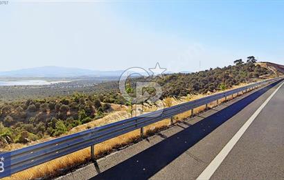 BERGAMA ZEYTİNDAĞ'DA DENİZ MANZARALI ZEYTİNLİK