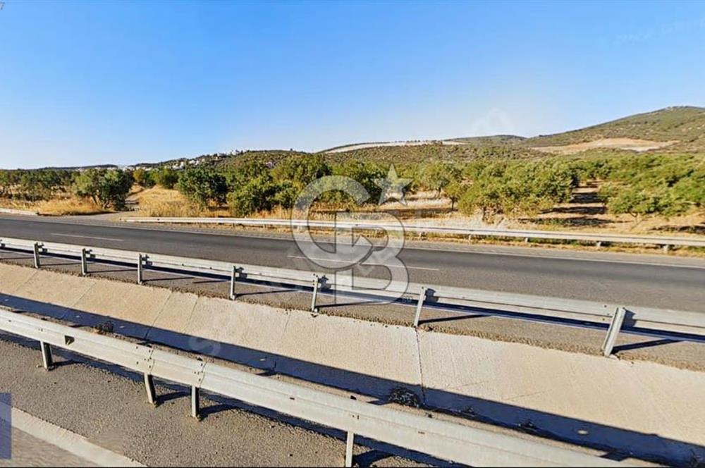 BERGAMA ZEYTİNDAĞ'DA DENİZ MANZARALI ZEYTİNLİK