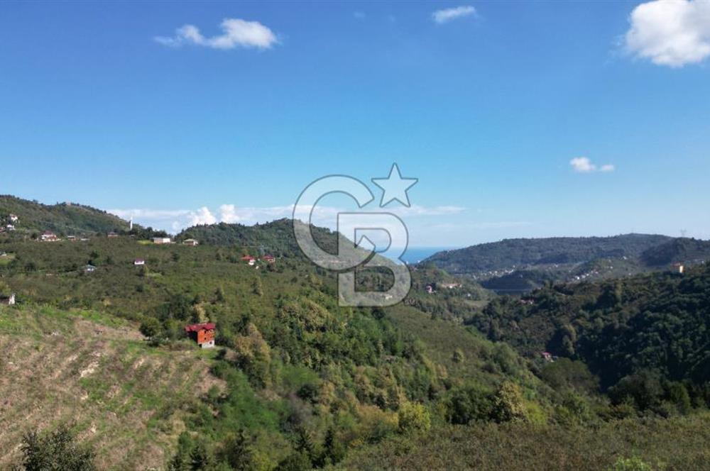 CB LİKA'DAN YEŞİLYURT'DA SATILIK ARSA