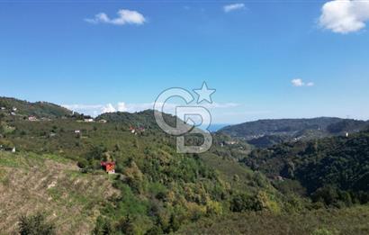 CB LİKA'DAN YEŞİLYURT'DA SATILIK ARSA