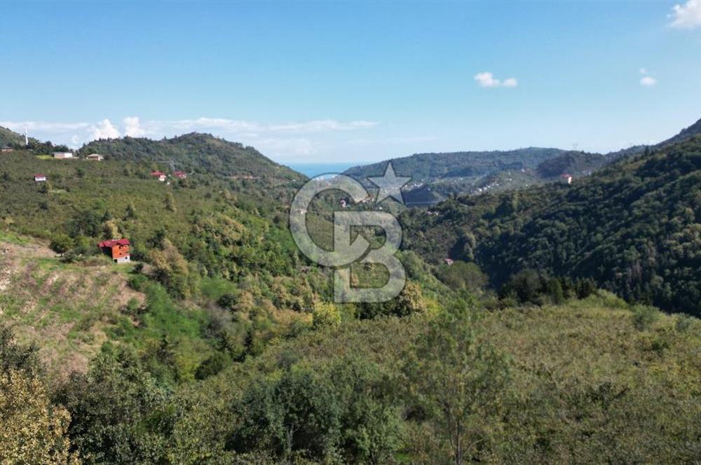 CB LİKA'DAN YEŞİLYURT'DA SATILIK ARSA