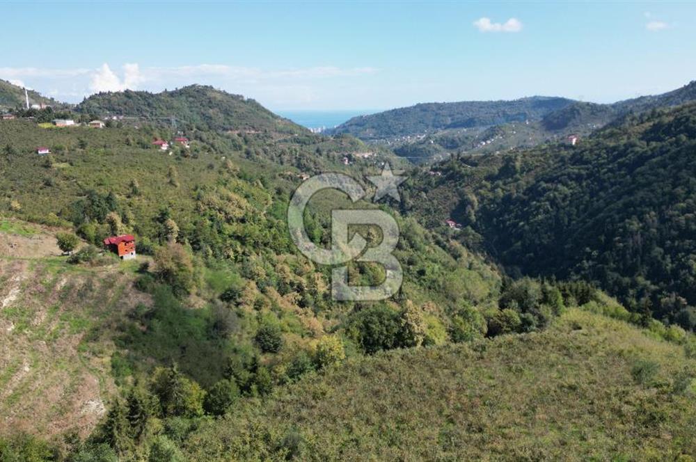 CB LİKA'DAN YEŞİLYURT'DA SATILIK ARSA