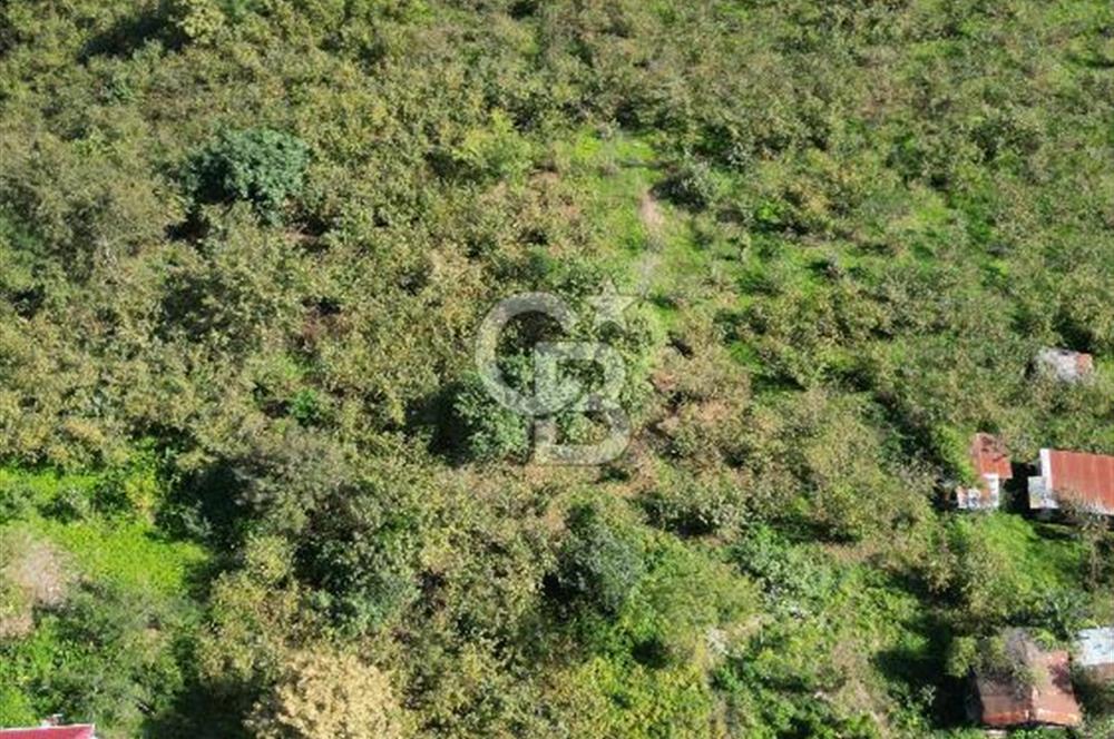 CB LİKA'DAN YEŞİLYURT'DA SATILIK ARSA