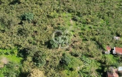 CB LİKA'DAN YEŞİLYURT'DA SATILIK ARSA