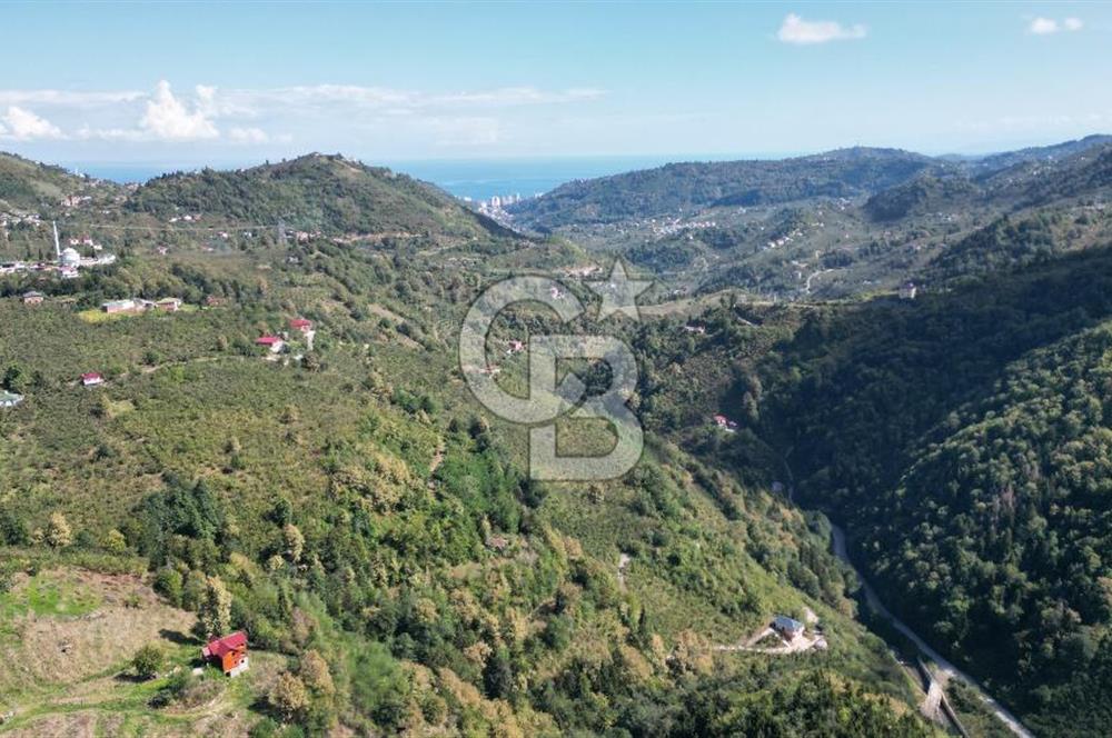 CB LİKA'DAN YEŞİLYURT'DA SATILIK ARSA