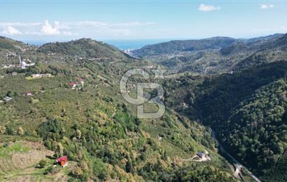 CB LİKA'DAN YEŞİLYURT'DA SATILIK ARSA