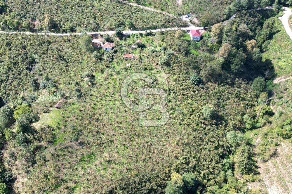 CB LİKA'DAN YEŞİLYURT'DA SATILIK ARSA